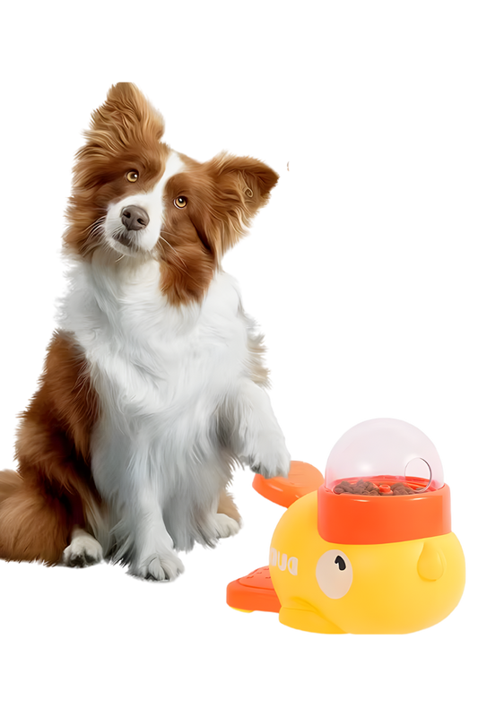 Interactive treat dispenser